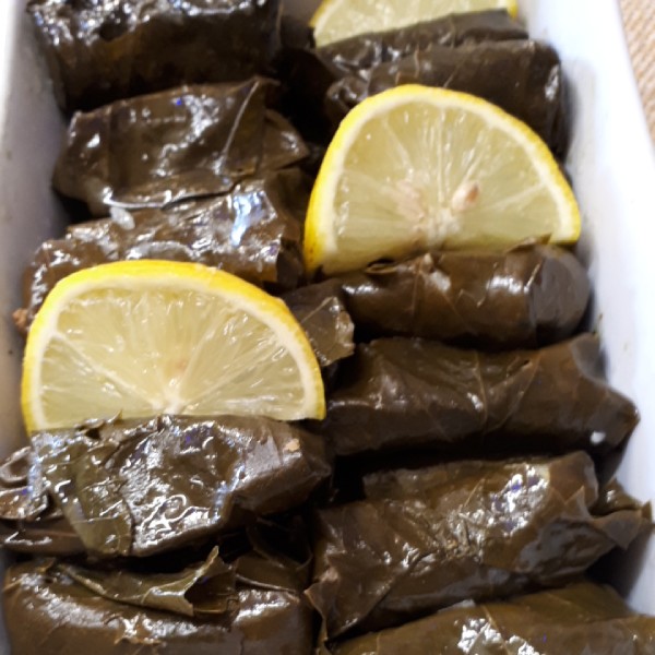 Dolma