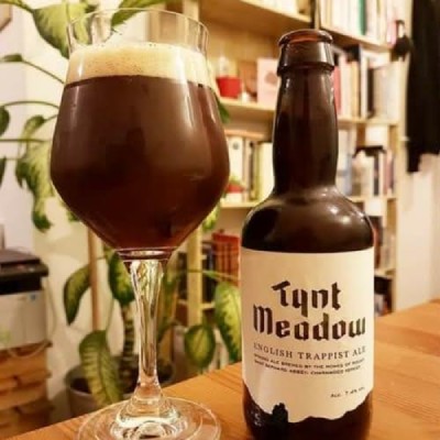 Tynt Meadow English Trappist Ale